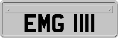 EMG1111
