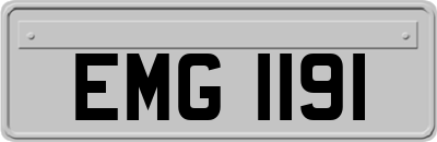 EMG1191