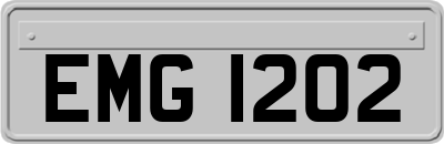 EMG1202