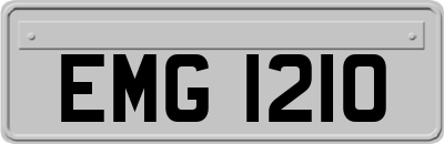 EMG1210