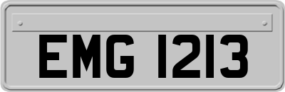 EMG1213