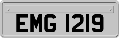 EMG1219