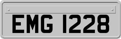 EMG1228