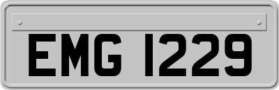 EMG1229