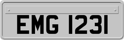 EMG1231