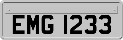 EMG1233