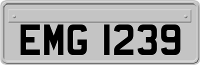 EMG1239