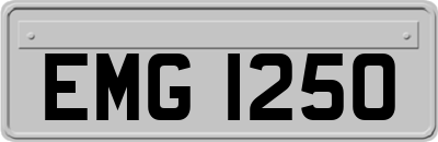 EMG1250