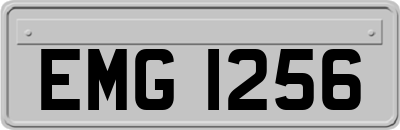 EMG1256