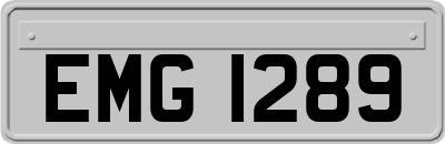 EMG1289