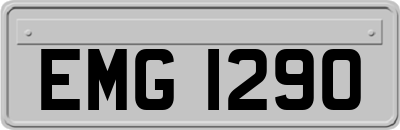 EMG1290