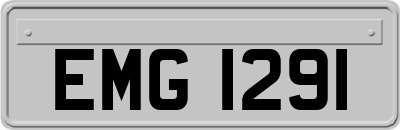 EMG1291