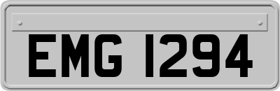 EMG1294