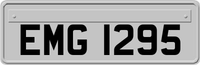 EMG1295