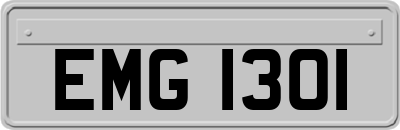 EMG1301