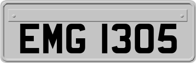 EMG1305