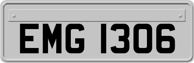 EMG1306