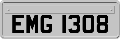 EMG1308