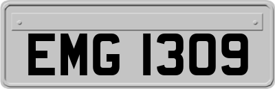 EMG1309