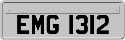 EMG1312