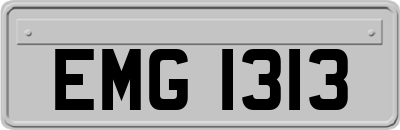 EMG1313