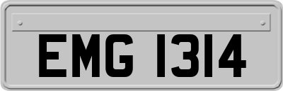 EMG1314