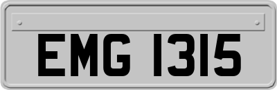 EMG1315