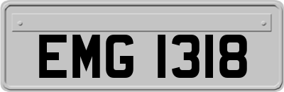 EMG1318