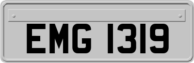 EMG1319