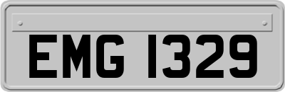 EMG1329