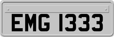 EMG1333