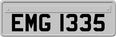 EMG1335