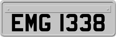 EMG1338