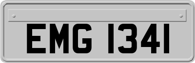 EMG1341