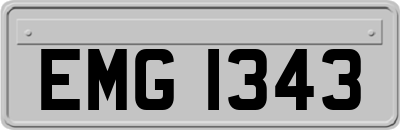 EMG1343