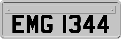 EMG1344