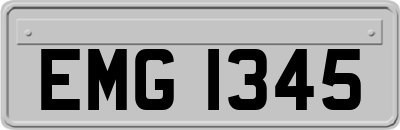EMG1345