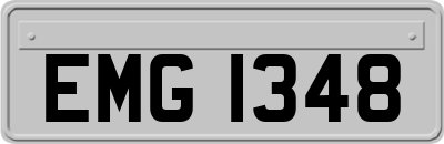 EMG1348