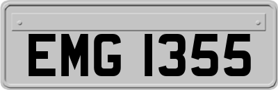 EMG1355