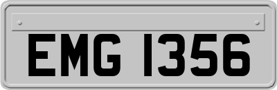 EMG1356
