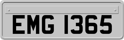 EMG1365