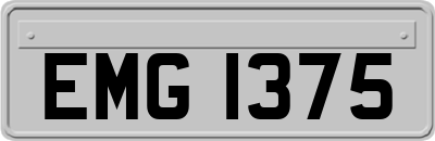 EMG1375