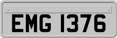 EMG1376