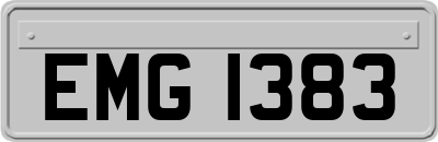EMG1383
