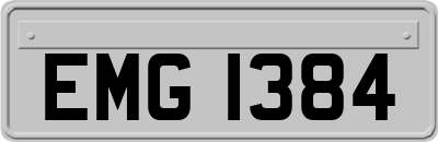 EMG1384