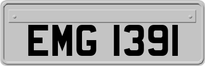 EMG1391