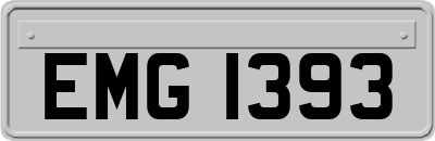EMG1393