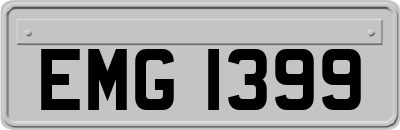 EMG1399