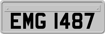 EMG1487