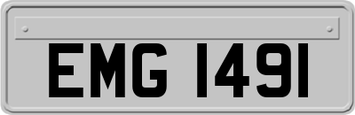 EMG1491